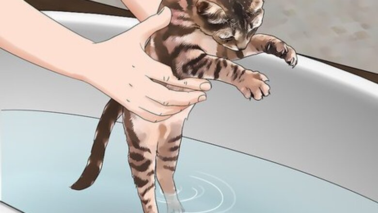 How to Fumigate for Fleas