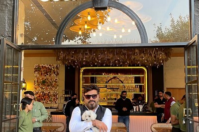 Furry Friends Welcome: Pet-Friendly Cafés Serve Up Style, Comfort, and Cuisine