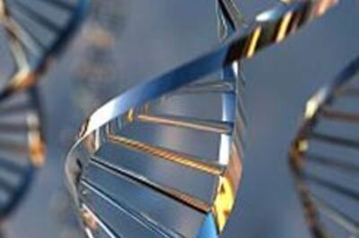 Sex is inside your genes