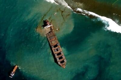 Protest In Mauritius Over Oil Spill, Dozens Of Dead Dolphins