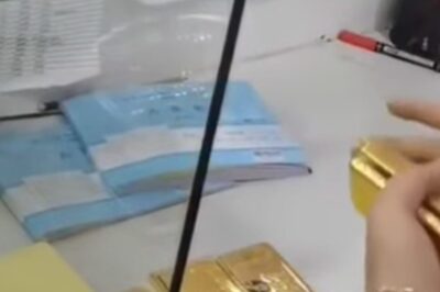 House Of Gold: Man Pays In Golden Bricks For His Mansion