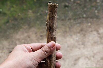 How to Make a Walking Stick
