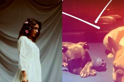 Samantha Akkineni is All Hearts for Her Pooches, Shares Instagram Post After Separation From Naga Chaitanya