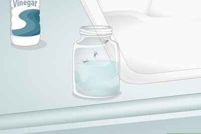 How to Get Rid of Gnats in the Kitchen