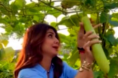 Watch: Shilpa Shetty Plucks Bottle Gourd for Cooking Meal in New Instagram Video