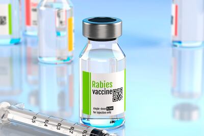 Central Govt Adds Anti-Rabies Shots to Essential Drugs List Amid Rising Dog Bite Cases