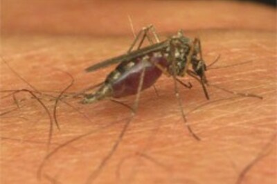 Malaria death toll rises in Assam
