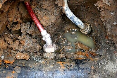 Critics Say EPA Allowing More Time To Fix Lead-tainted Water