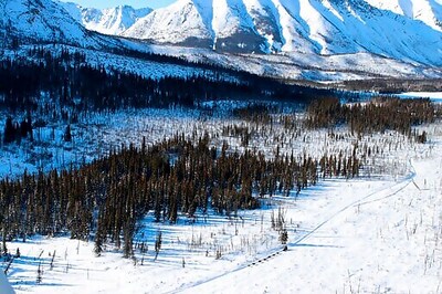 Dallas Seavey On The Cusp Of 5th Title With Iditarod Lead
