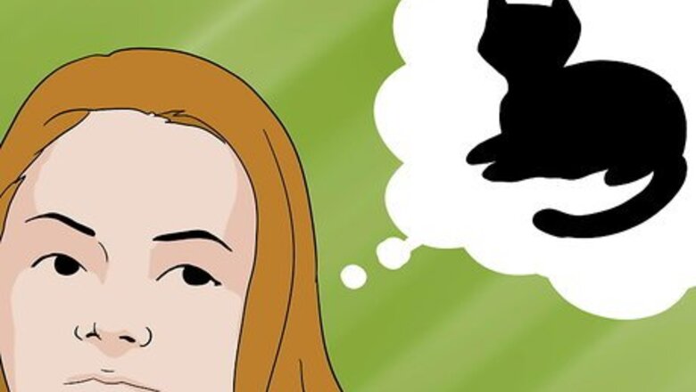 How to Build an Outside Enclosure for Cats