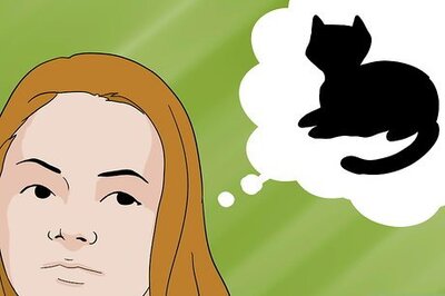 How to Build an Outside Enclosure for Cats