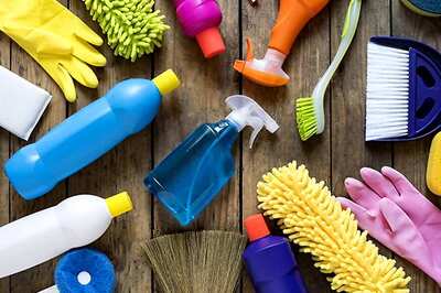 Study Investigates Potential Link Between Disinfectant Chemicals in Everyday Items, Birth Defects