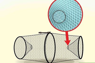 How to Bait and Use a Minnow Trap