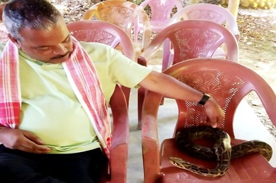 Assam BJP MLA Wishes Pet Python 'Happy Hunting' After Snake Goes Missing