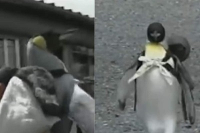 Remember Lala, The Penguin Who Loves To Shop? He Is Back To Spread Christmas Love