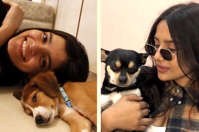 These Influencers Are Paw-sitively Transforming Pet Adoption and Animal Welfare