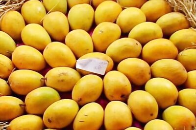 EU ban on Indian mangoes: Good for domestic buyers, bad for growers