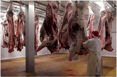 EU Top Court Upholds Belgian Limits on Halal Slaughter