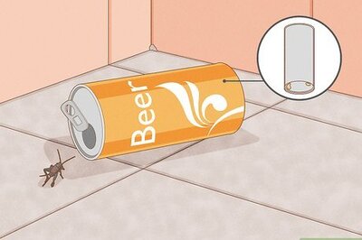 How to Kill a Cricket that's Loose in Your House
