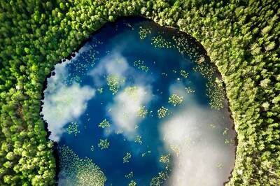 Earth Day 2023: Theme, History and Significance