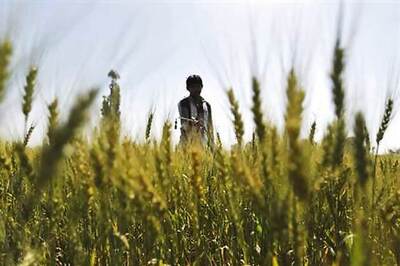 Government to introduce new insurance scheme for farmers soon