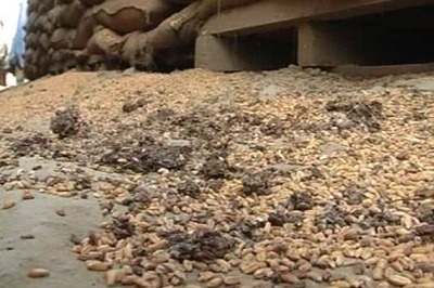 PDS hike on foodgrains under consideration: Govt