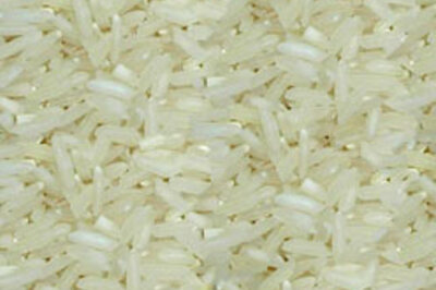 NGOs caught in mid-day meal scam