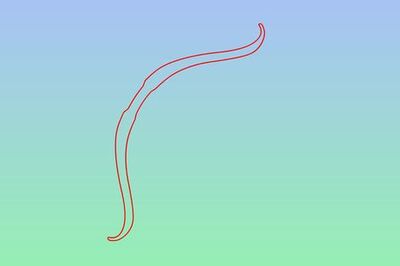 How to Draw a Bow and Arrow