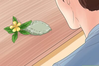 How to Make Herbal Cigarettes