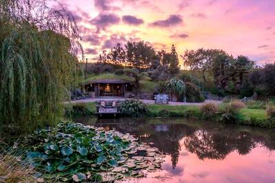 Six Amazing Unknown Places in New Zealand You Didn't Know Existed!