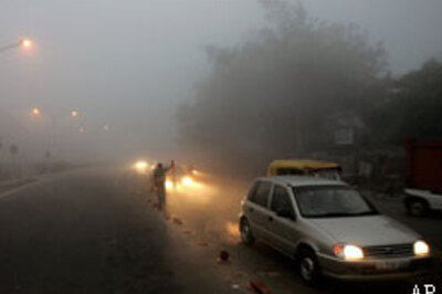 New Years with beedi bundle, stray dog