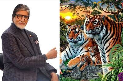 Can You Find Hidden Tigers In This Image? B-Town Celebs Join the Bandwagon