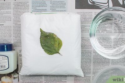 How to Make Fossils Using Plaster of Paris