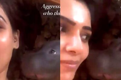 Samantha Akkineni's Video With Her Pet Sasha is Winning the Internet, Take a Look