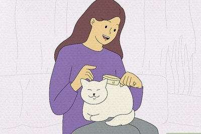 The Best Ways to Stop Feeling Scared When You’re Home Alone