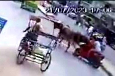 Caught on Cam: Bull Attacks and Injures Riders on Bike in Delhi's Geeta Colony  | WATCH
