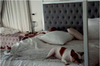 Naga Chaitanya Clicks Beautiful Pic of Samantha Akkineni in Her Sleep