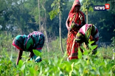 BJP Kisan Morcha Hails Extension of PM-KISAN Scheme to All Farmers as 'Historic Decision'