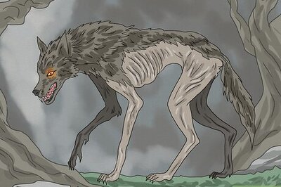 What Are Skinwalkers? (+ How to Spot Them)