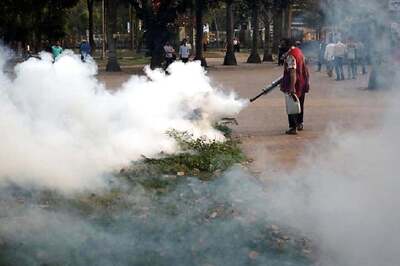 Bhopal Municipal Body Sprays Anti-mosquito Chemicals Minutes Before Health Minister's Routine Inspection