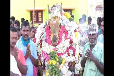 Madurai Villagers Gather in Hundreds, Flout Lockdown Rules for Beloved Bull Mooli's Final Journey