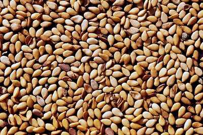 Benefits of Sesame Seeds for Skin and Health