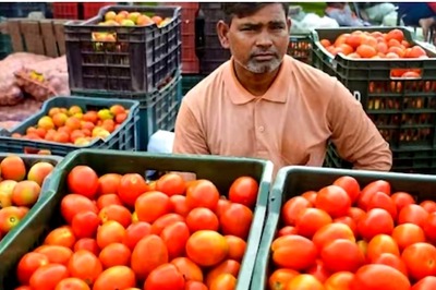 Rs 300/Kg Tomato Price In Coming Days! Traders Caution, What Lies Ahead For Consumers?