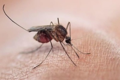 WHO Experts Advise Bangladesh Use of Nuclear Technique to Combat Dengue