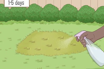 How to Apply Diatomaceous Earth