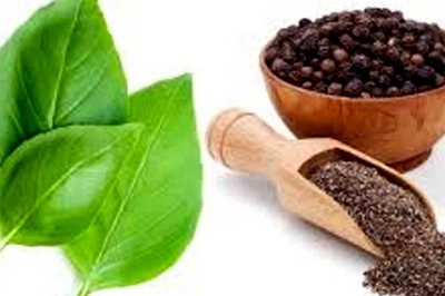 From Basil to Black Pepper: Meet the Immunity Boosters