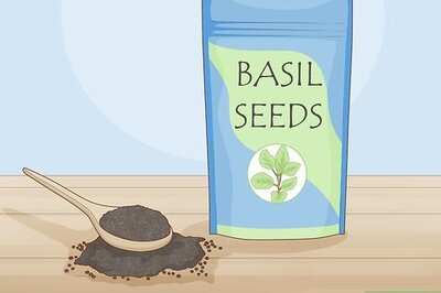 How to Plant Basil in a Pot