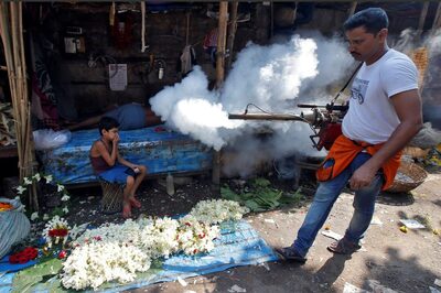 Salman Khan Tests +ve, No Leave for UP Docs, One Killed in Kolkata, 51 in Nepal: Dengue Menace Leaves None