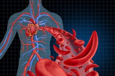 What Is The Normal Level Of Haemoglobin In Men And Women