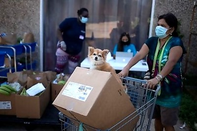 California encouraged by trends even as it passes 600,000 coronavirus cases, most in U.S.